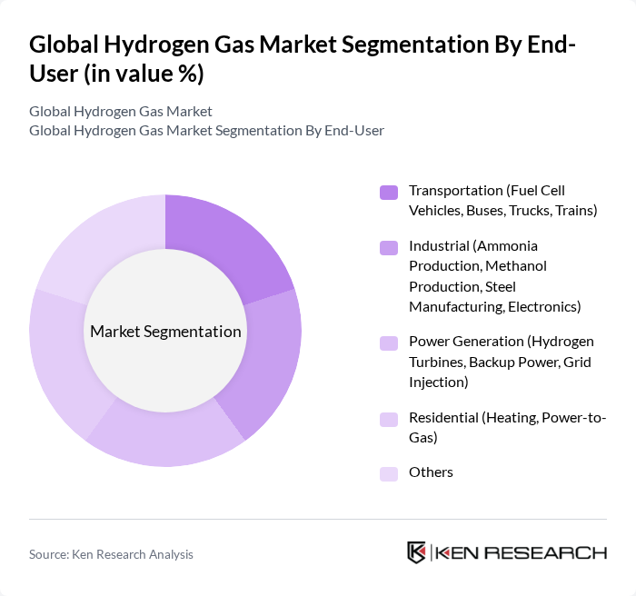 Global Hydrogen Gas Market segmentation by End-User.