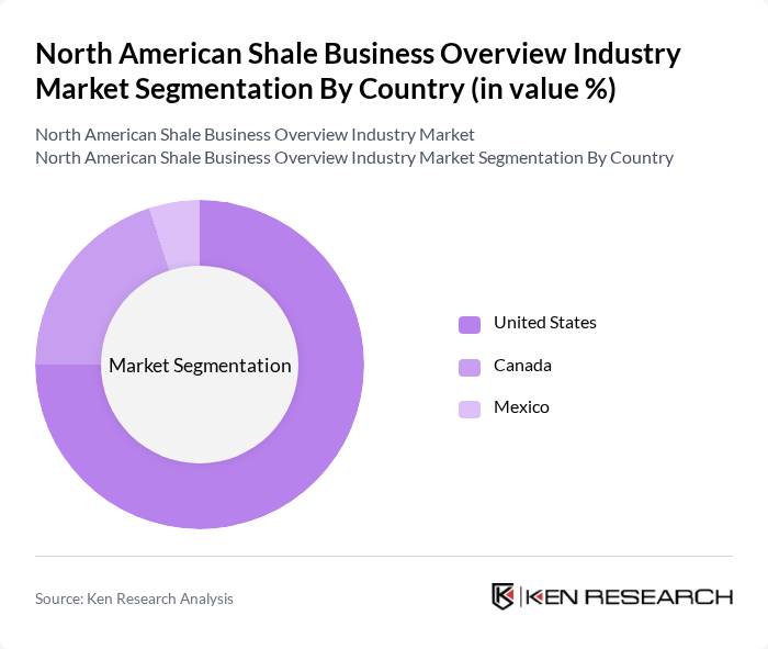 North American Shale Business Overview Industry Market segmentation by Country.